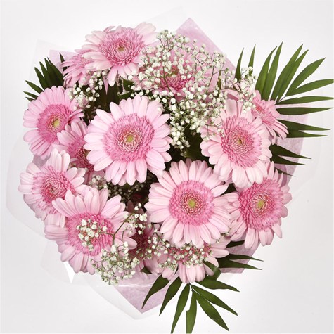 Pink Lady Gerbera Bouquet