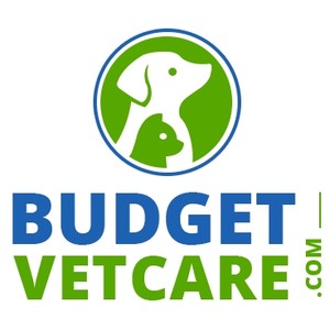 Budget vet care